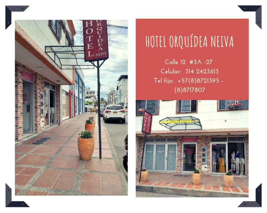 Hotel Orquidea Neiva Neiva  Buitenkant foto